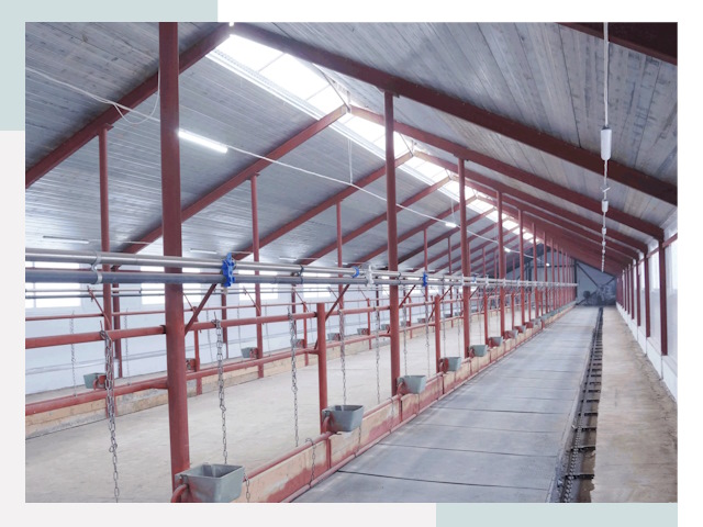 Строительство коровников в Рузаевке от 622 руб.