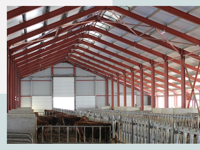 Строительство коровников в Рузаевке