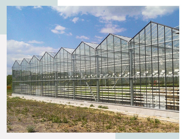Строительство теплиц в Рузаевка от 622 руб. за м²
