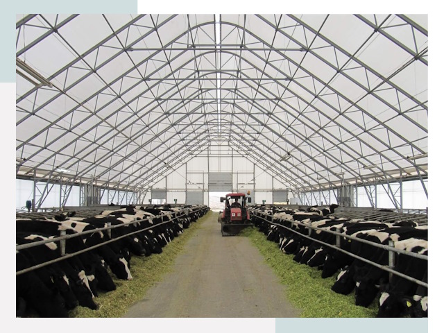 Тентовые коровники в Рузаевке от 622 руб. - Надежно и доступно