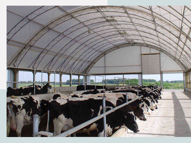 Тентовые коровники в Рузаевке